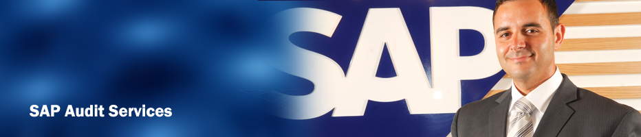 SAP audit services