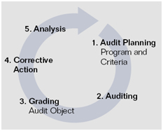 auditing process 